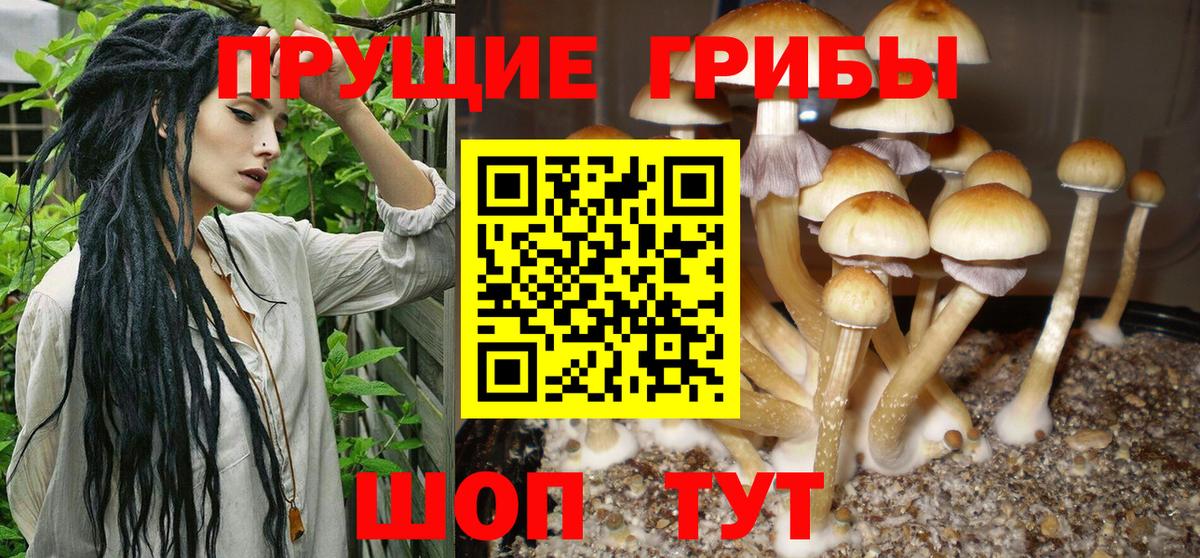 Галлюциногенные грибы Cubensis  Вход с VPN  Ликино-Дулёво 