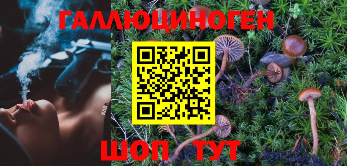 Галлюциногенные грибы Psilocybe Ликино-Дулёво